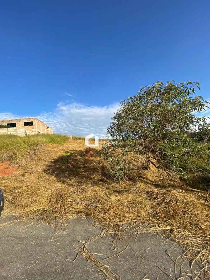 WhatsApp Image 2025-06-09 at 16.19.38.jpeg